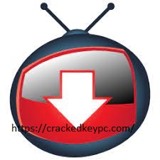 YTD Video Downloader Pro 5.9.22 Crack 2022